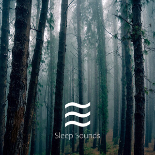 Restful Sleep Sounds of Water