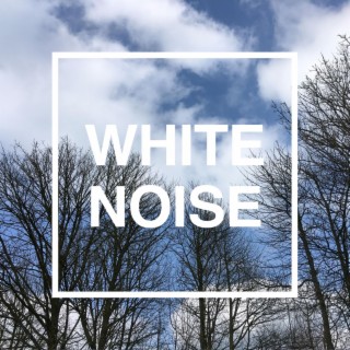 White Noise: Ambient Focus