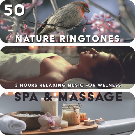 Feel the Energy (Hot Stone Massage)
