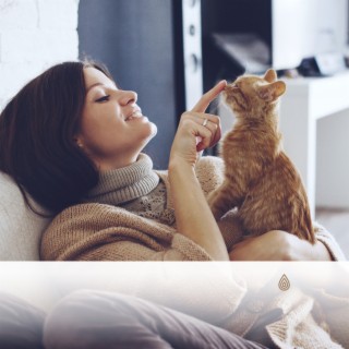 Meilleure musique pour le comportement pacifique du chat : Prévention de l'anxiété