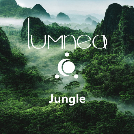 Jungle (Extended Mix) | Boomplay Music