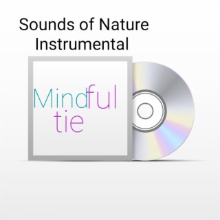 Sounds of Nature Instrumental Mindful Tie