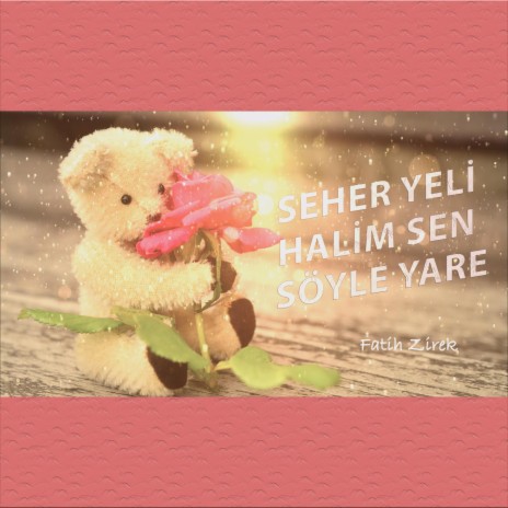 Seher yeli halim sen söyle yare | Boomplay Music