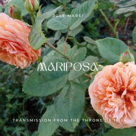 Mariposa | Boomplay Music