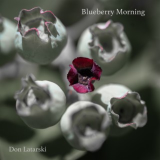 Blueberry Morning