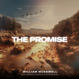 The Promise [Live]