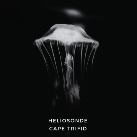 Cape Trifid | Boomplay Music