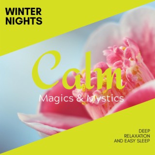 Winter Nights - Deep Relaxation and Easy Sleep