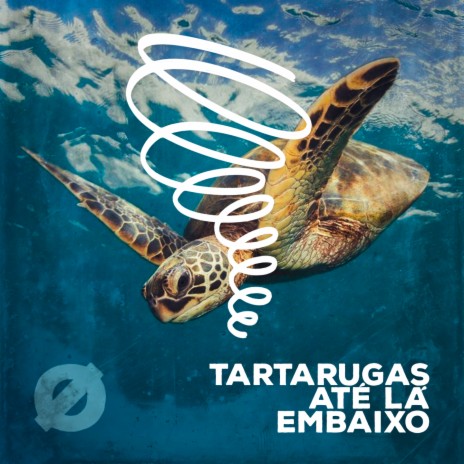Tartarugas Até Lá Embaixo ft. Nando Bassetto