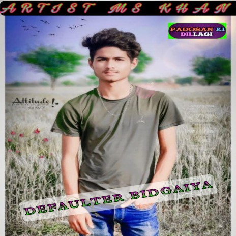 Defaulter Bidgaiya | Boomplay Music