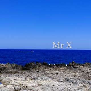 Mr. X original mix