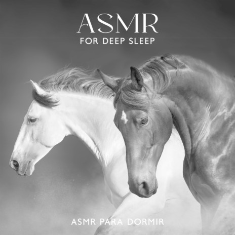 ASMR for Deep Sleep
