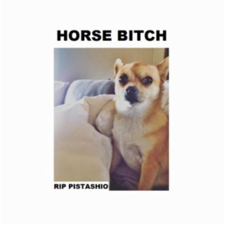 Horse Bitch