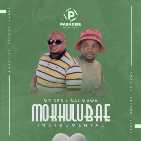 MOKHULUBAE (Instrumental) ft. Salmawa | Boomplay Music
