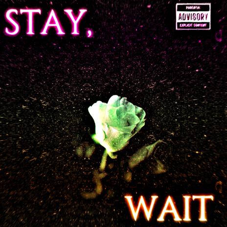 STAY//WAIT | Boomplay Music