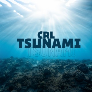 CRL TSUNAMI & NOSSA SENHORA DO CHÁ DE CAMOMILA