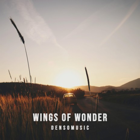 Wings of Wonder | Boomplay Music