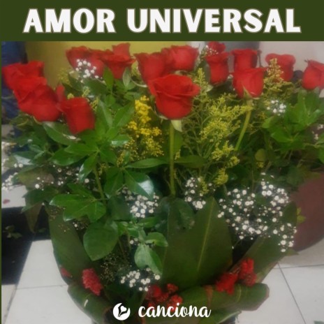 Amor universal | Boomplay Music