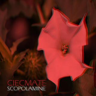 Scopolamine