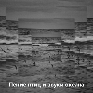 Пение птиц и звуки океана - Pасслабляющие звуки природы с инструментальной музыкой на фортепиано, расслабляющая медитация, внимательность, колыбельные для сна