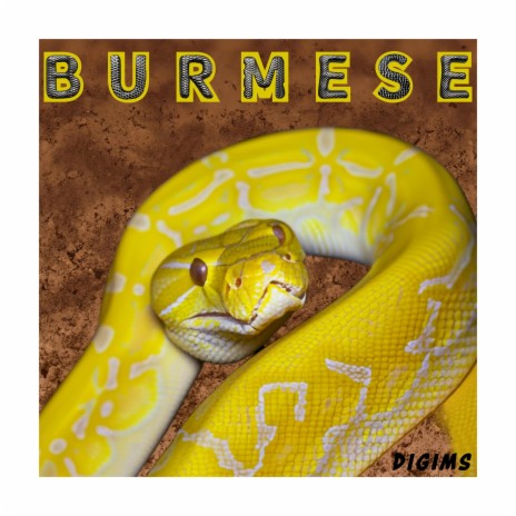 Burmese