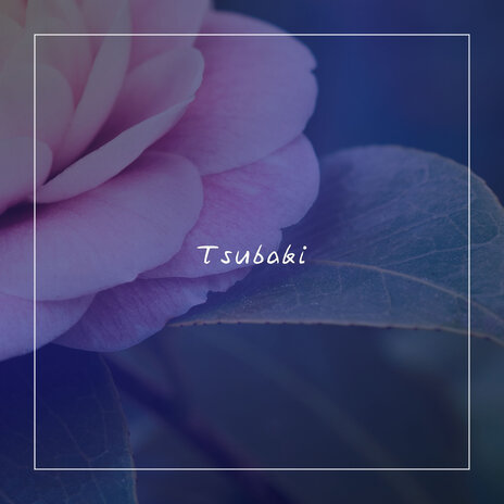 Tsubaki | Boomplay Music