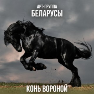 Конь вороной