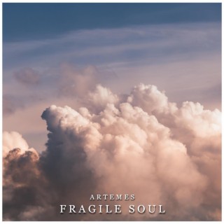 Fragile Soul