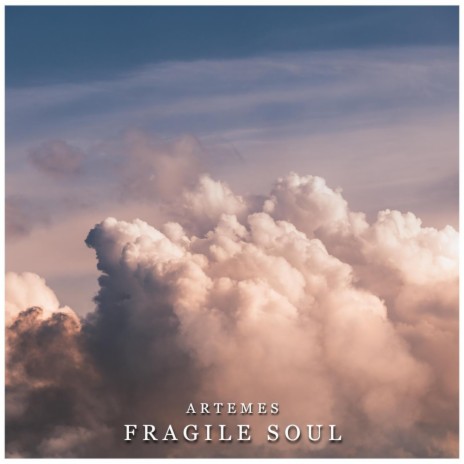 Fragile Soul | Boomplay Music