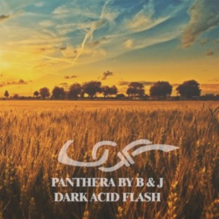 Dark Acid Flash