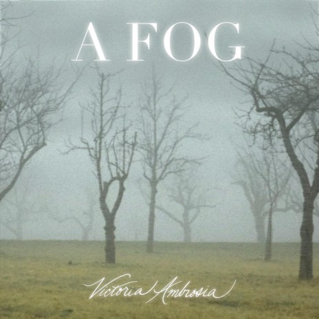 a fog | Boomplay Music