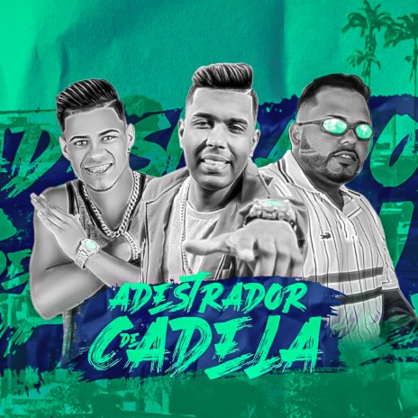 Adestrador de Cadela (Remix) ft. Kadu MC & Vytinho No Beat | Boomplay Music