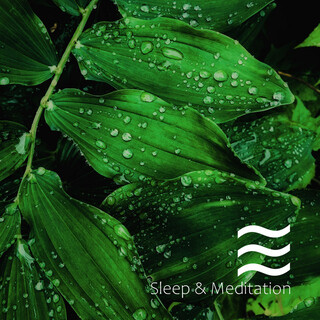 Sleepful Sounds of Rain Collection