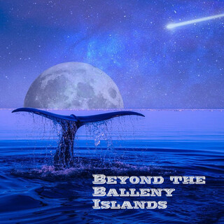 Beyond the Balleny Islands