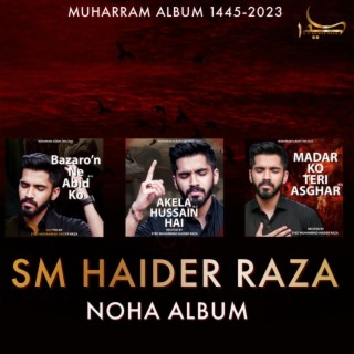 SM Haider Raza Muharram Noha Album 1445-2023