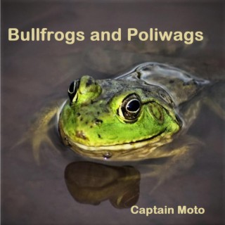 Bullfrogs And Poliwags