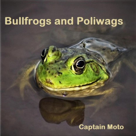 Bullfrogs And Poliwags | Boomplay Music