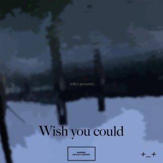 wish you could