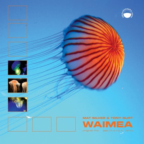 Waimea (Single Cut 2020 Remaster) | Boomplay Music