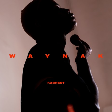 Waynak | Boomplay Music