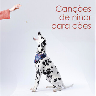 Canções de ninar para cães – Música calma para piano, músicas relaxantes para animais de estimação, anti-ansiedade e sono profundo