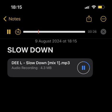 SLOW DOWN | Boomplay Music