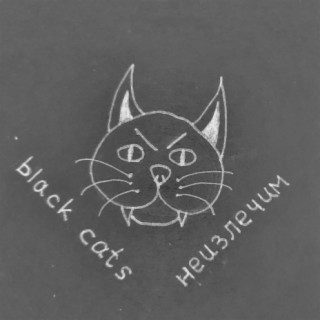 Black Cats