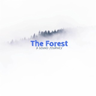 The Forest: A Sound Journey