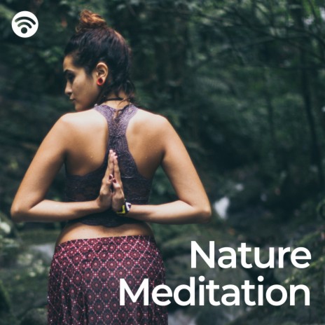 Blissful Reverie ft. Magnetic Minds Meditations & Meditación para Dormir | Boomplay Music