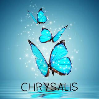 Chrysalis