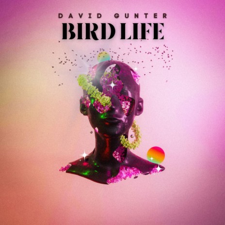 Bird Life | Boomplay Music