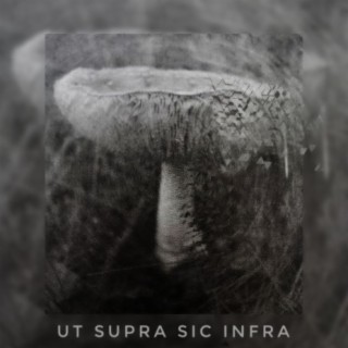 UT SUPRA, SIC INFRA