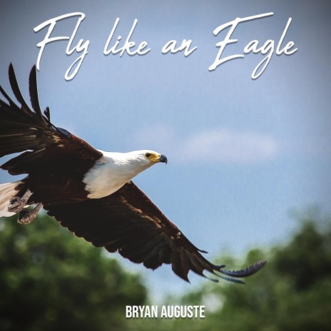 Eagle in the Sky | Boomplay Music