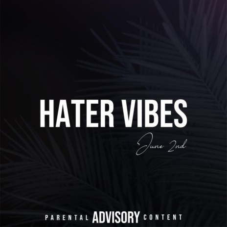 Hater Vibes | Boomplay Music